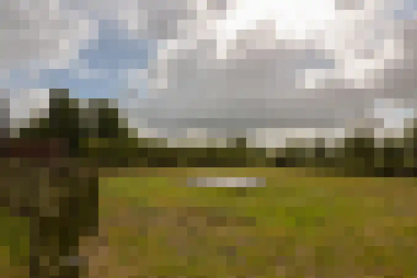 Mijdrechtse dwarsweg 5 Wilnis thumbnail 33