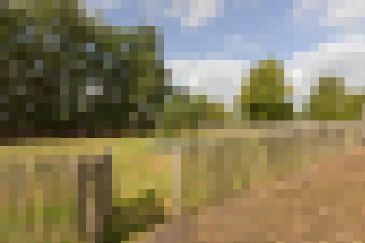 Mijdrechtse dwarsweg 5 Wilnis thumbnail 34