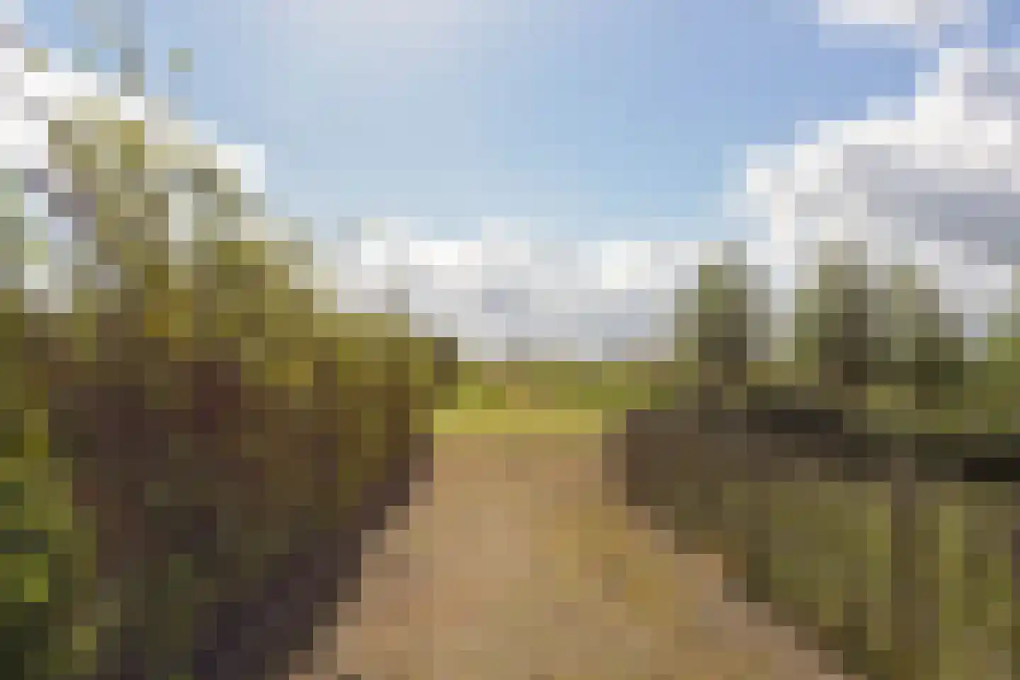 Mijdrechtse dwarsweg 5 Wilnis thumbnail 35