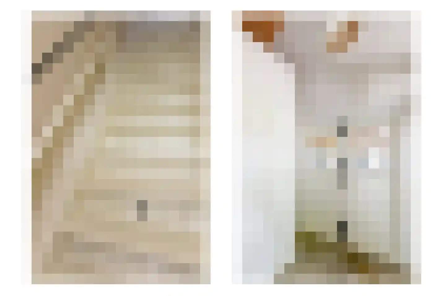 Mijdrechtse dwarsweg 5 Wilnis thumbnail 37