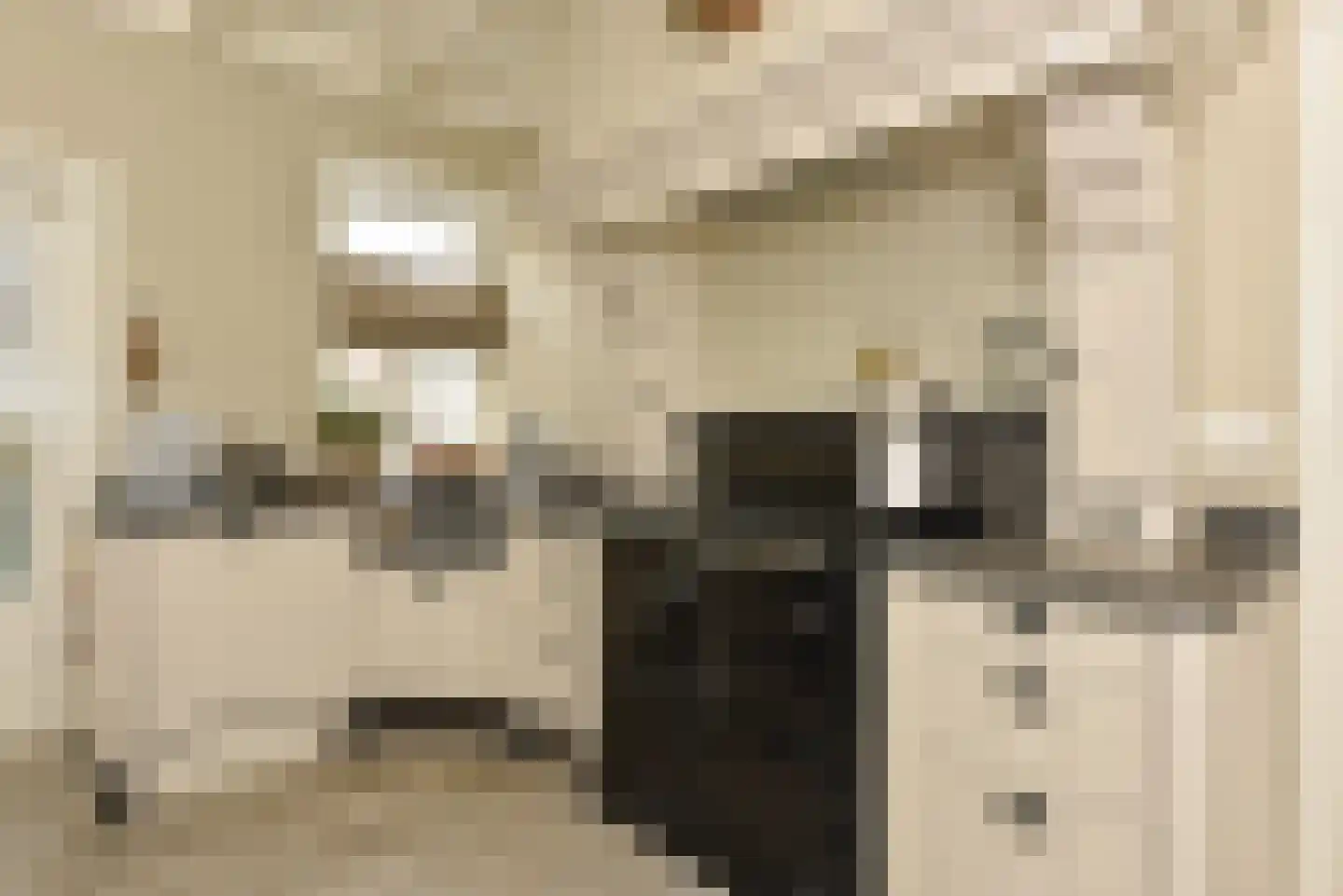 Mijdrechtse dwarsweg 5 Wilnis thumbnail 4