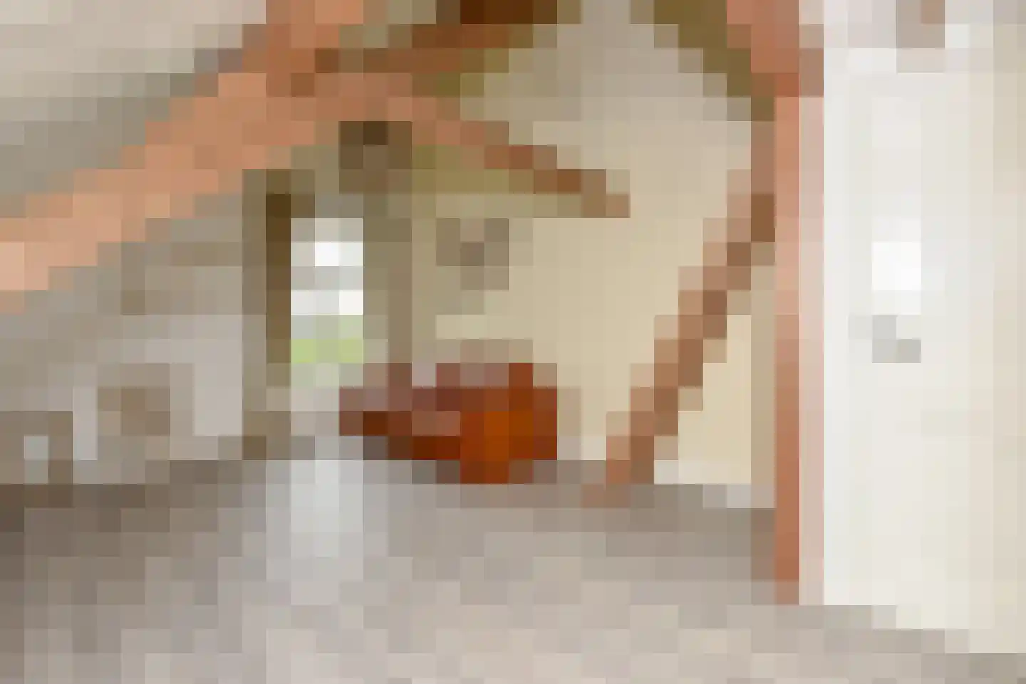 Mijdrechtse dwarsweg 5 Wilnis thumbnail 40