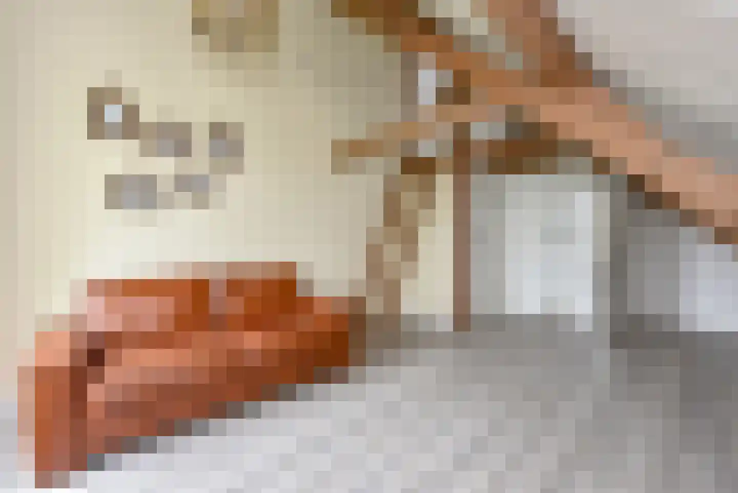 Mijdrechtse dwarsweg 5 Wilnis thumbnail 41