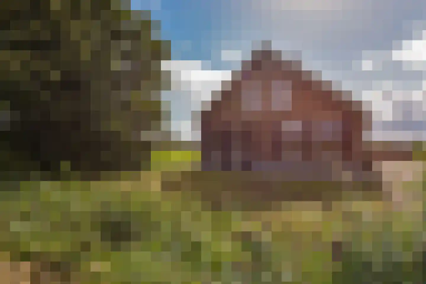 Mijdrechtse dwarsweg 5 Wilnis thumbnail 50