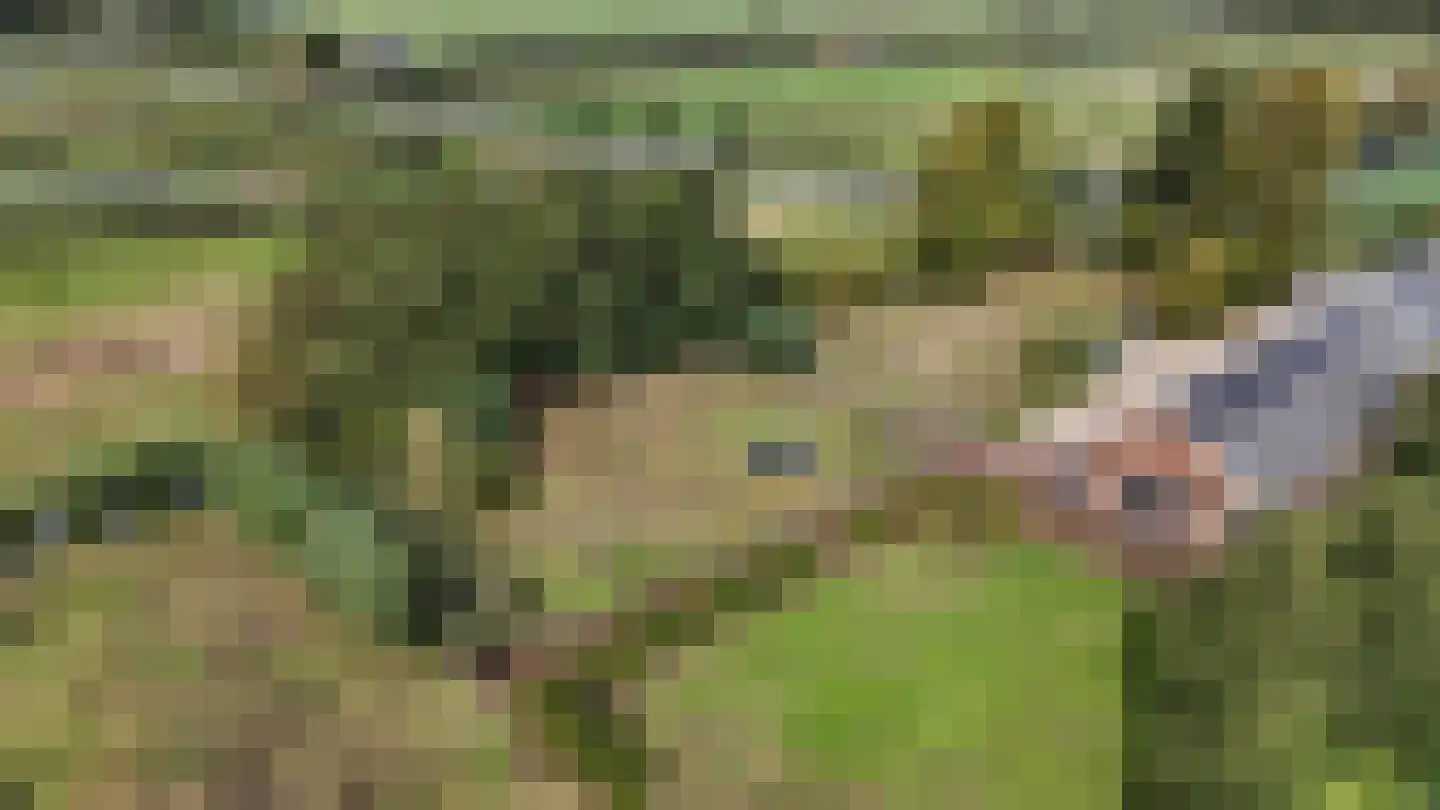 Mijdrechtse dwarsweg 5 Wilnis thumbnail 51