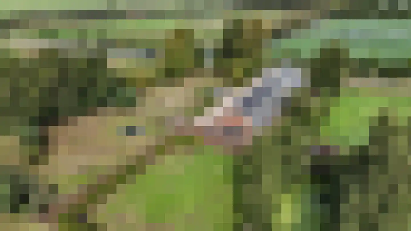 Mijdrechtse dwarsweg 5 Wilnis thumbnail 52
