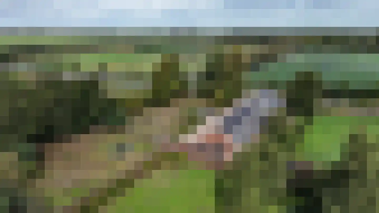Mijdrechtse dwarsweg 5 Wilnis thumbnail 53