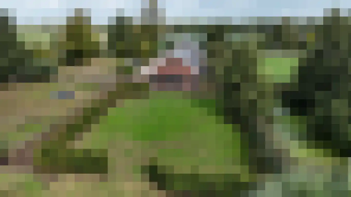 Mijdrechtse dwarsweg 5 Wilnis thumbnail 54