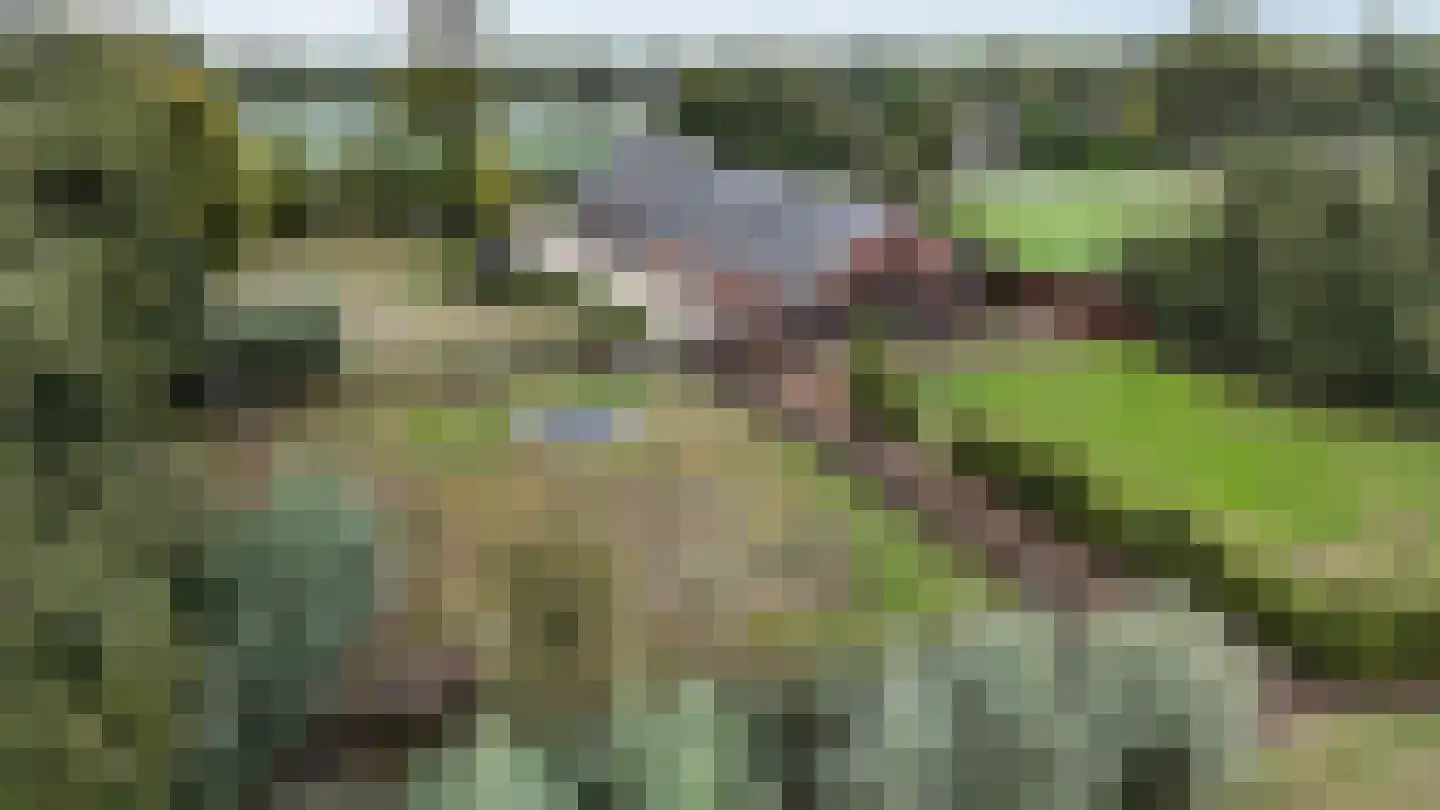 Mijdrechtse dwarsweg 5 Wilnis thumbnail 55