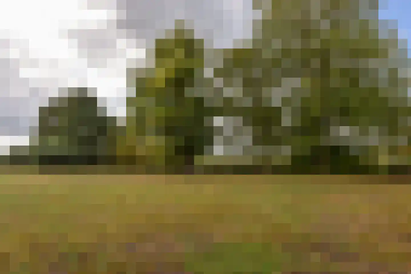 Mijdrechtse dwarsweg 5 Wilnis thumbnail 56