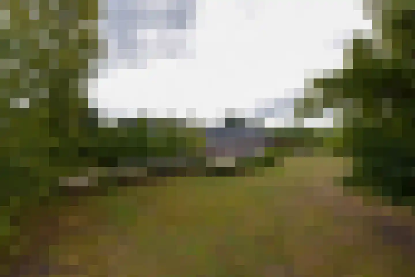 Mijdrechtse dwarsweg 5 Wilnis thumbnail 58