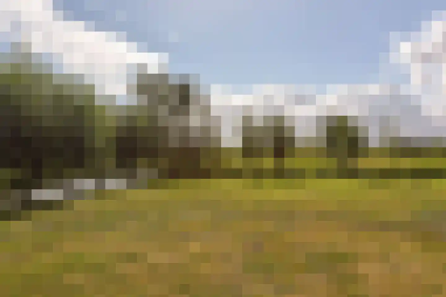Mijdrechtse dwarsweg 5 Wilnis thumbnail 65