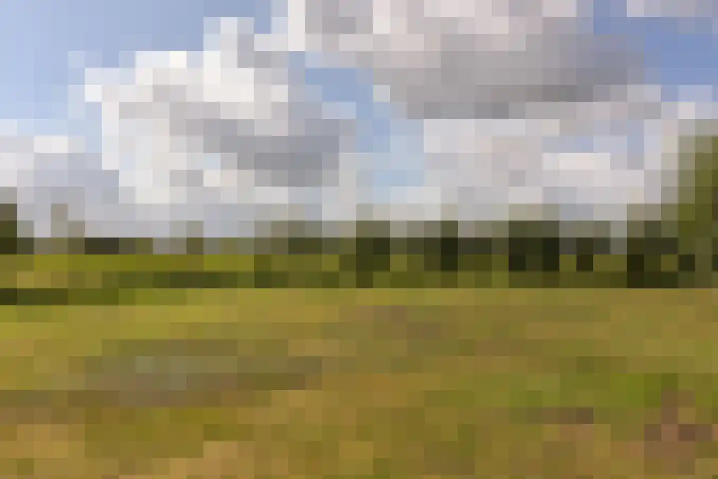 Mijdrechtse dwarsweg 5 Wilnis thumbnail 66