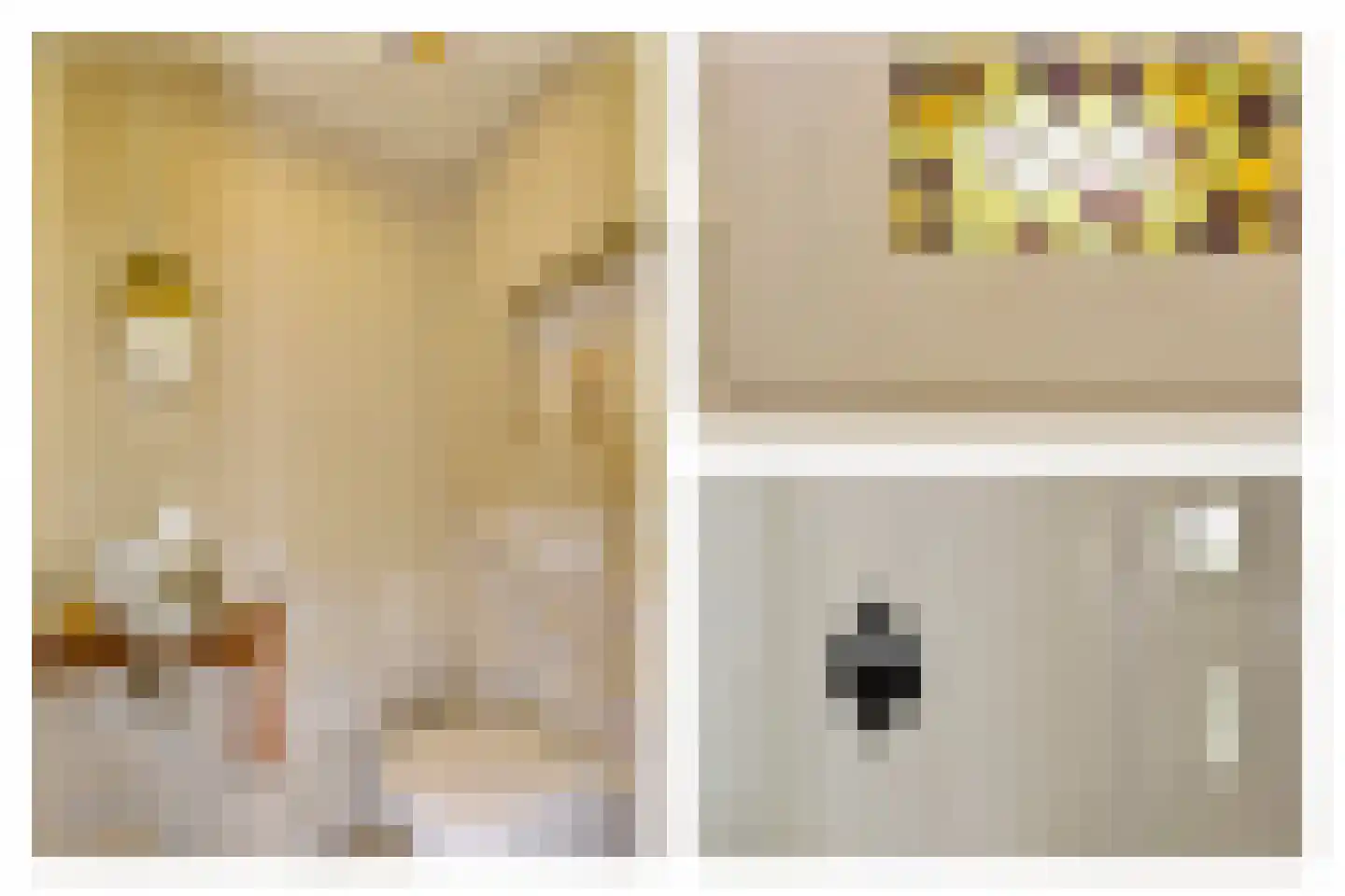 Mijdrechtse dwarsweg 5 Wilnis thumbnail 7