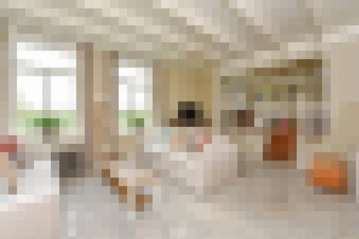 Mijdrechtse dwarsweg 5 Wilnis thumbnail 8