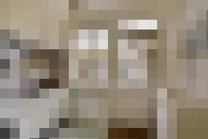 Mijdrechtse Zuwe 42 Amstelhoek thumbnail 16