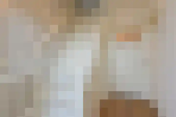 Mijdrechtse Zuwe 42 Amstelhoek thumbnail 17