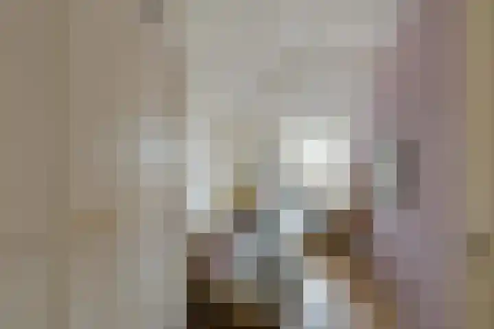Mijdrechtse Zuwe 42 Amstelhoek thumbnail 19