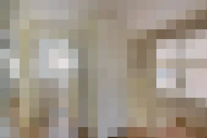 Mijdrechtse Zuwe 42 Amstelhoek thumbnail 22