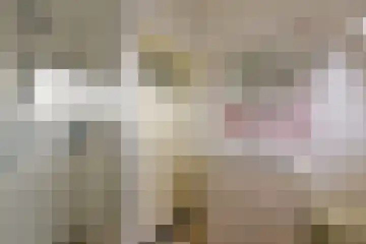 Mijdrechtse Zuwe 42 Amstelhoek thumbnail 24