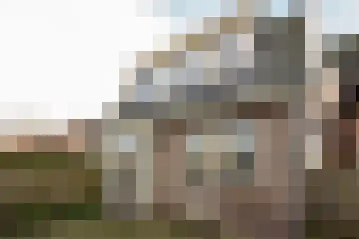 Mijdrechtse Zuwe 42 Amstelhoek thumbnail 25