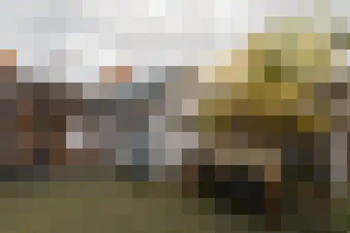 Mijdrechtse Zuwe 42 Amstelhoek thumbnail 26