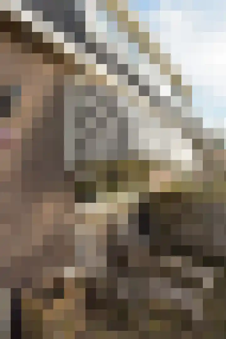 Mijdrechtse Zuwe 42 Amstelhoek thumbnail 30