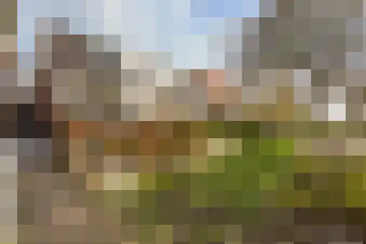 Mijdrechtse Zuwe 42 Amstelhoek thumbnail 5