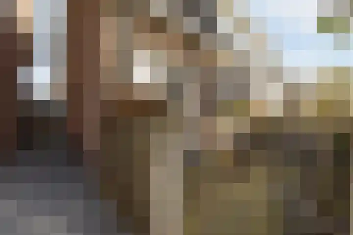 Mijdrechtse Zuwe 42 Amstelhoek thumbnail 6