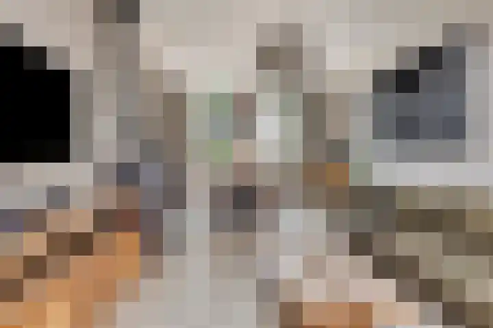 Mijdrechtsedwarsweg 1 Vinkeveen thumbnail 14