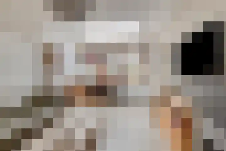 Mijdrechtsedwarsweg 1 Vinkeveen thumbnail 16