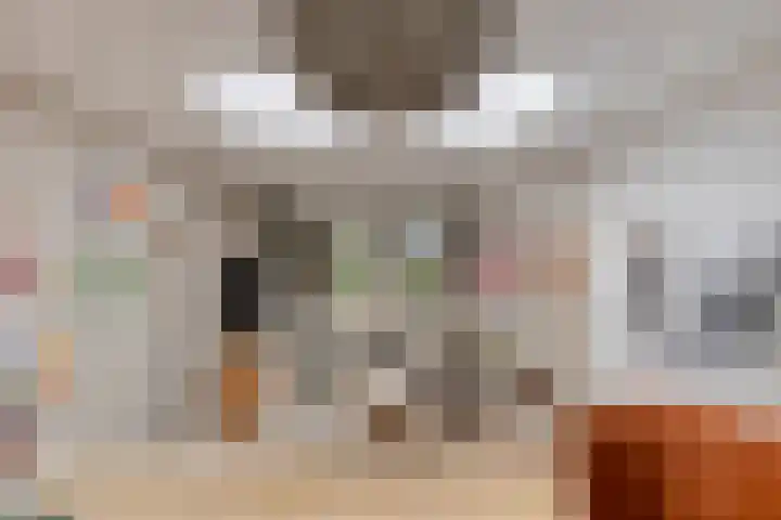 Mijdrechtsedwarsweg 1 Vinkeveen thumbnail 18