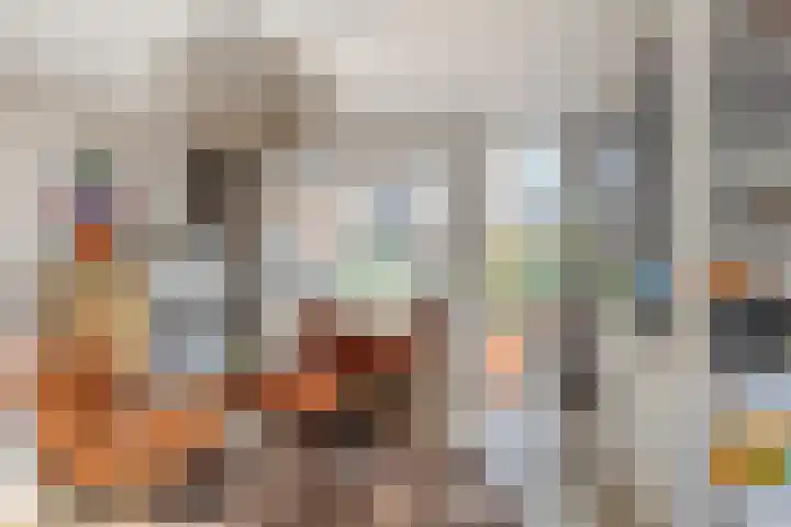 Mijdrechtsedwarsweg 1 Vinkeveen thumbnail 19