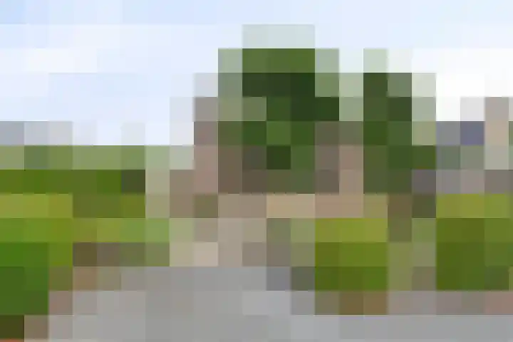 Mijdrechtsedwarsweg 1 Vinkeveen foto 2