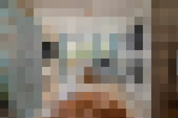 Mijdrechtsedwarsweg 1 Vinkeveen thumbnail 20