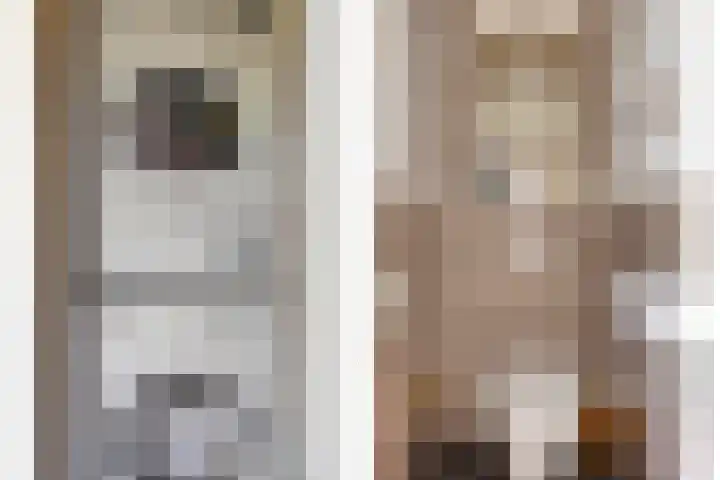 Mijdrechtsedwarsweg 1 Vinkeveen thumbnail 27