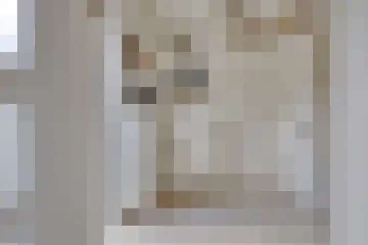 Mijdrechtsedwarsweg 1 Vinkeveen thumbnail 28