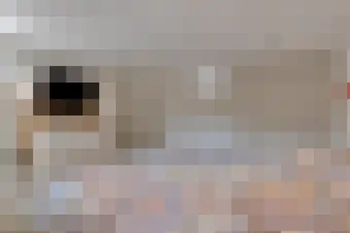 Mijdrechtsedwarsweg 1 Vinkeveen thumbnail 29