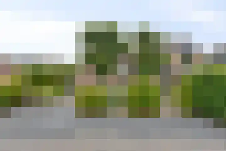Mijdrechtsedwarsweg 1 Vinkeveen foto 3