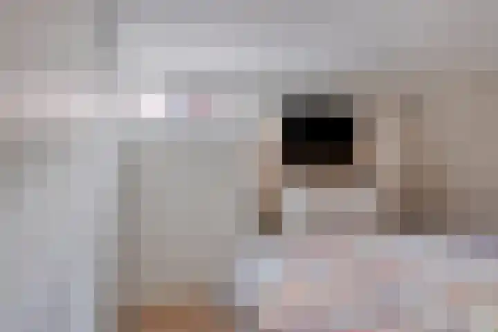 Mijdrechtsedwarsweg 1 Vinkeveen thumbnail 30