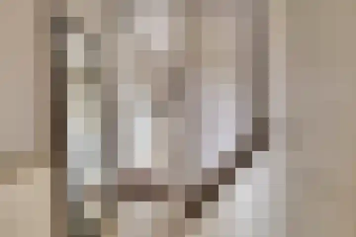Mijdrechtsedwarsweg 1 Vinkeveen thumbnail 31