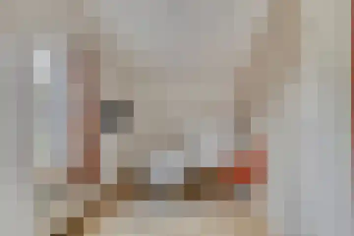 Mijdrechtsedwarsweg 1 Vinkeveen thumbnail 33