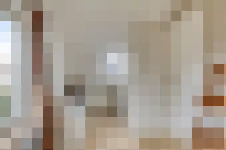 Mijdrechtsedwarsweg 1 Vinkeveen thumbnail 35