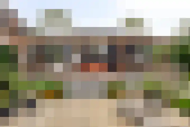 Mijdrechtsedwarsweg 1 Vinkeveen thumbnail 38