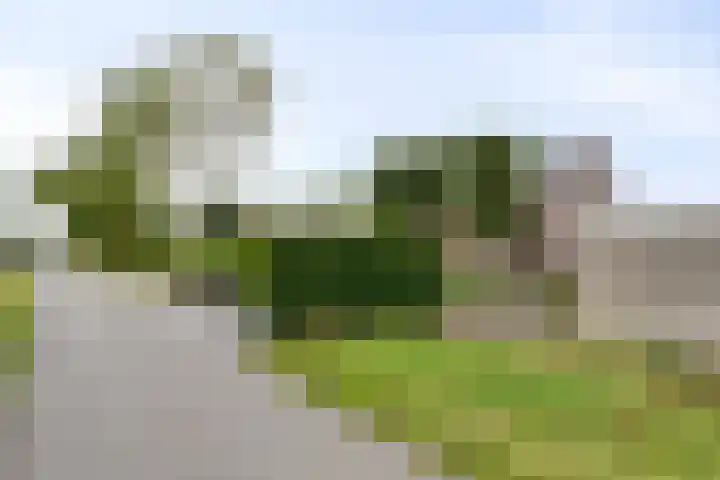 Mijdrechtsedwarsweg 1 Vinkeveen thumbnail 4