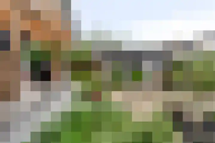 Mijdrechtsedwarsweg 1 Vinkeveen thumbnail 41