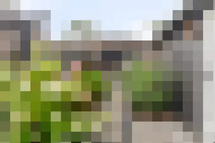 Mijdrechtsedwarsweg 1 Vinkeveen thumbnail 43
