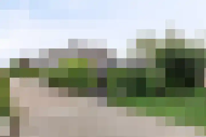 Mijdrechtsedwarsweg 1 Vinkeveen thumbnail 45