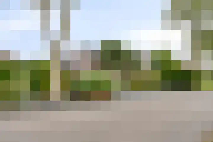 Mijdrechtsedwarsweg 1 Vinkeveen thumbnail 5