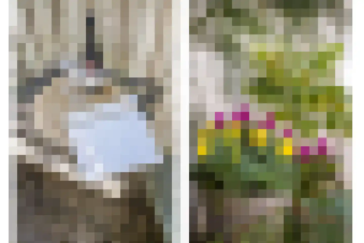 Mijdrechtstraat 2 Utrecht thumbnail 42